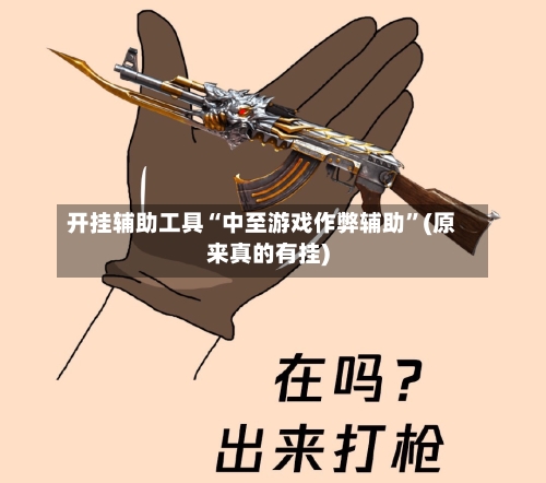 开挂辅助工具“中至游戏作弊辅助”(原来真的有挂)-第2张图片
