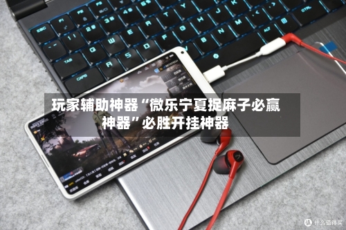 玩家辅助神器“微乐宁夏捉麻子必赢神器	”必胜开挂神器-第2张图片