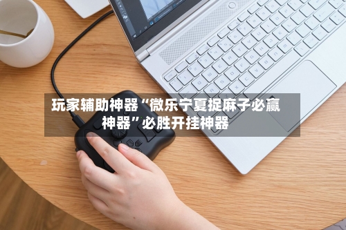 玩家辅助神器“微乐宁夏捉麻子必赢神器”必胜开挂神器-第3张图片