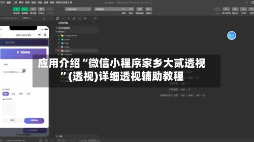 应用介绍“微信小程序家乡大贰透视”(透视)详细透视辅助教程