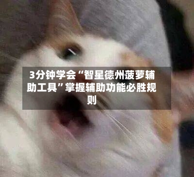 3分钟学会“智星德州菠萝辅助工具”掌握辅助功能必胜规则-第2张图片