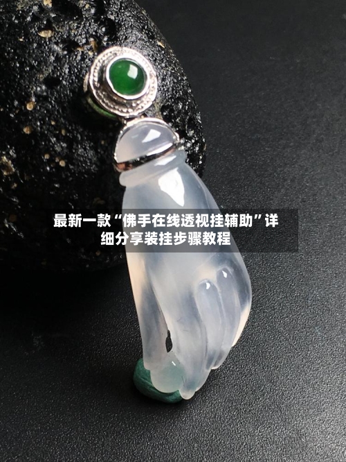 最新一款“佛手在线透视挂辅助	”详细分享装挂步骤教程-第2张图片