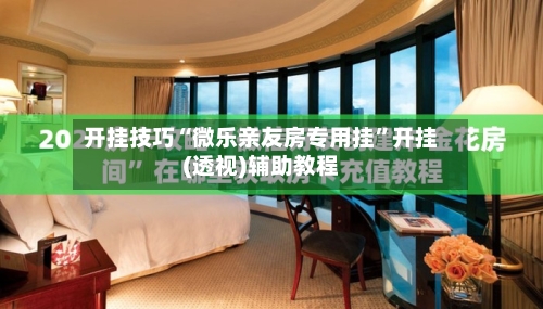 开挂技巧“微乐亲友房专用挂”开挂(透视)辅助教程-第2张图片