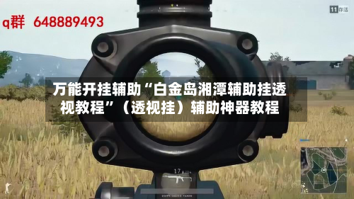 万能开挂辅助“白金岛湘潭辅助挂透视教程”（透视挂）辅助神器教程-第2张图片