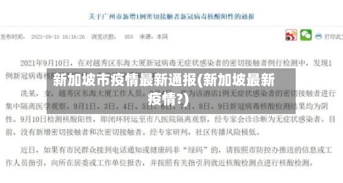 新加坡市疫情最新通报(新加坡最新疫情?)-第2张图片