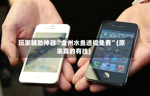 玩家辅助神器“金州水鱼透视免费”(原来真的有挂)-第2张图片