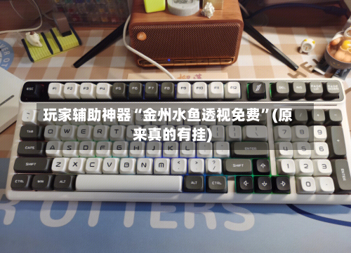 玩家辅助神器“金州水鱼透视免费”(原来真的有挂)-第3张图片