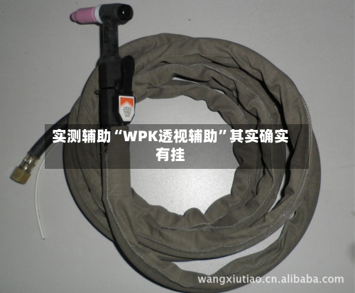 实测辅助“WPK透视辅助	”其实确实有挂-第2张图片