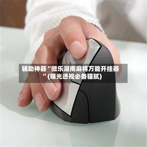 辅助神器“微乐湖南麻将万能开挂器”(曝光透视必备猫腻)-第2张图片