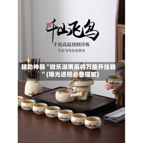 辅助神器“微乐湖南麻将万能开挂器”(曝光透视必备猫腻)-第3张图片