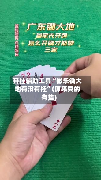 开挂辅助工具“微乐锄大地有没有挂”(原来真的有挂)-第2张图片