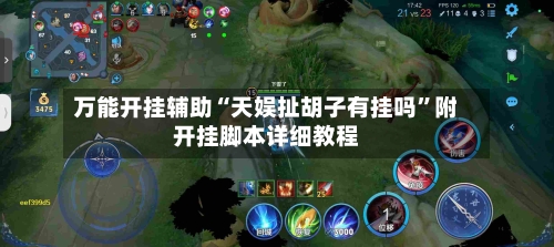 万能开挂辅助“天娱扯胡子有挂吗”附开挂脚本详细教程-第2张图片