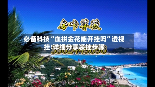 必备科技“血拼金花能开挂吗	”透视挂!详细分享装挂步骤-第3张图片