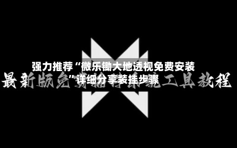 强力推荐“微乐锄大地透视免费安装”详细分享装挂步骤-第3张图片