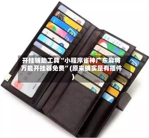 开挂辅助工具“小程序雀神广东麻将万能开挂器免费”(原来确实是有插件)-第2张图片