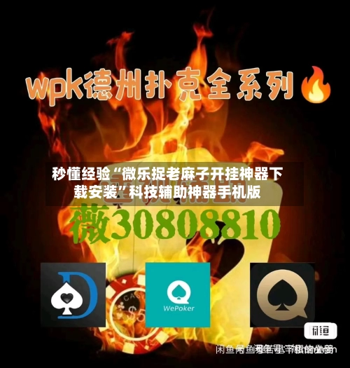 秒懂经验“微乐捉老麻子开挂神器下载安装	”科技辅助神器手机版-第2张图片