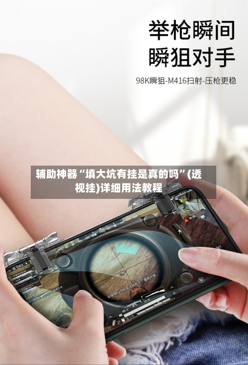 辅助神器“填大坑有挂是真的吗”(透视挂)详细用法教程-第3张图片