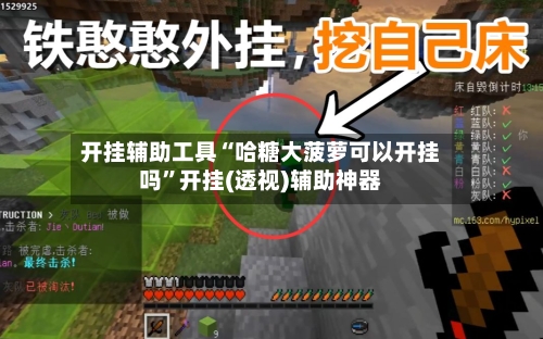 开挂辅助工具“哈糖大菠萝可以开挂吗”开挂(透视)辅助神器-第3张图片