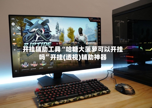 开挂辅助工具“哈糖大菠萝可以开挂吗	”开挂(透视)辅助神器-第2张图片