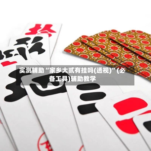 实测辅助“家乡大贰有挂吗(透视)”(必备工具)辅助教学-第2张图片