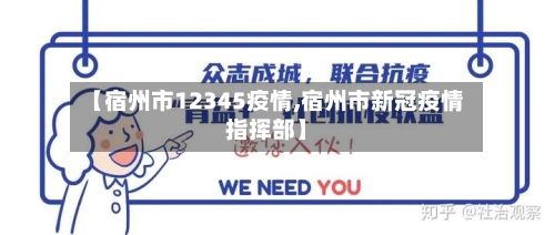 【宿州市12345疫情,宿州市新冠疫情指挥部】-第3张图片