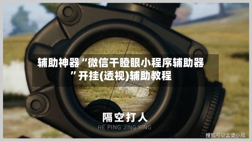 辅助神器“微信干瞪眼小程序辅助器”开挂(透视)辅助教程-第2张图片