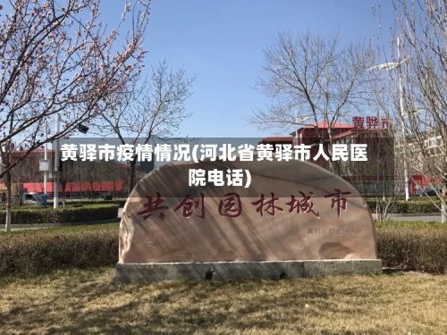 黄驿市疫情情况(河北省黄驿市人民医院电话)