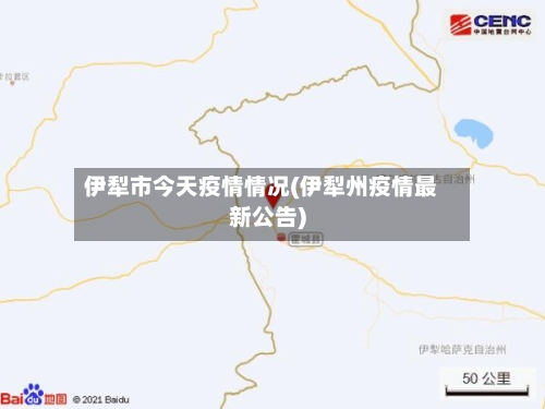 伊犁市今天疫情情况(伊犁州疫情最新公告)-第2张图片