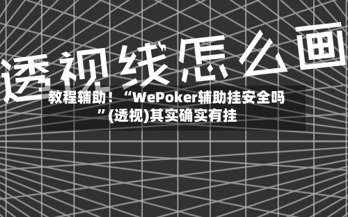 教程辅助!“WePoker辅助挂安全吗”(透视)其实确实有挂