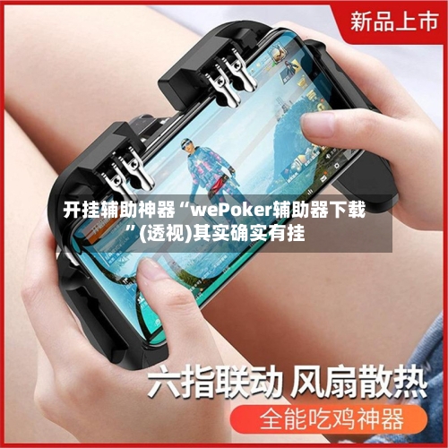 开挂辅助神器“wePoker辅助器下载	”(透视)其实确实有挂-第2张图片