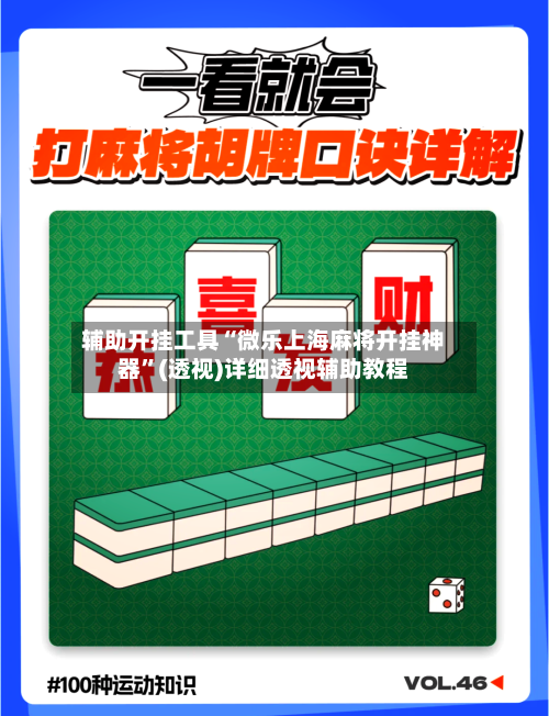 辅助开挂工具“微乐上海麻将开挂神器”(透视)详细透视辅助教程-第3张图片