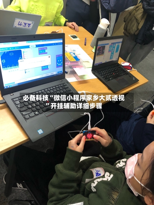 必备科技“微信小程序家乡大贰透视	”开挂辅助详细步骤-第3张图片