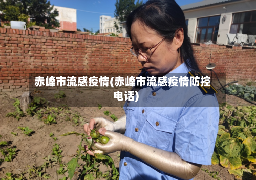 赤峰市流感疫情(赤峰市流感疫情防控电话)-第2张图片
