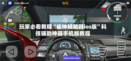 玩家必看教程“雀神辅助器ios版”科技辅助神器手机版教程-第3张图片