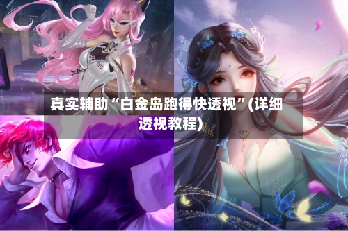 真实辅助“白金岛跑得快透视”(详细透视教程)-第2张图片