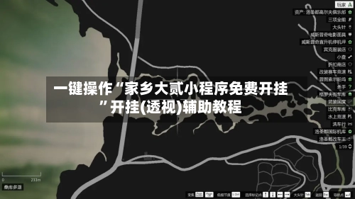 一键操作“家乡大贰小程序免费开挂”开挂(透视)辅助教程-第3张图片