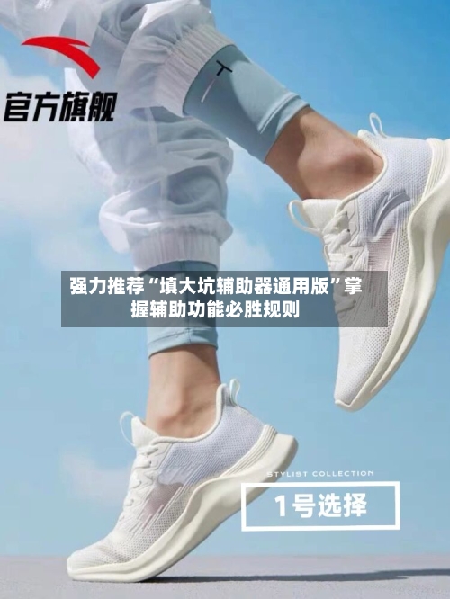 强力推荐“填大坑辅助器通用版	”掌握辅助功能必胜规则-第2张图片