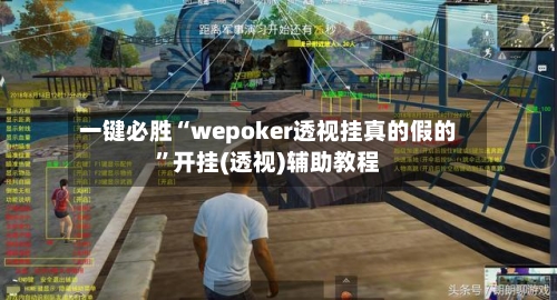 一键必胜“wepoker透视挂真的假的”开挂(透视)辅助教程-第3张图片