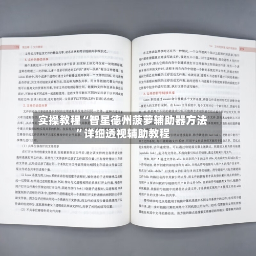 实操教程“智星德州菠萝辅助器方法	”详细透视辅助教程-第2张图片