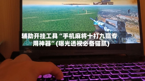 辅助开挂工具“手机麻将十打九赢专用神器”(曝光透视必备猫腻)-第2张图片