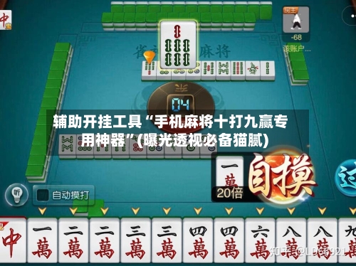 辅助开挂工具“手机麻将十打九赢专用神器	”(曝光透视必备猫腻)-第3张图片