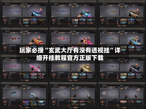 玩家必搜“玄武大厅有没有透视挂”详细开挂教程官方正版下载-第2张图片