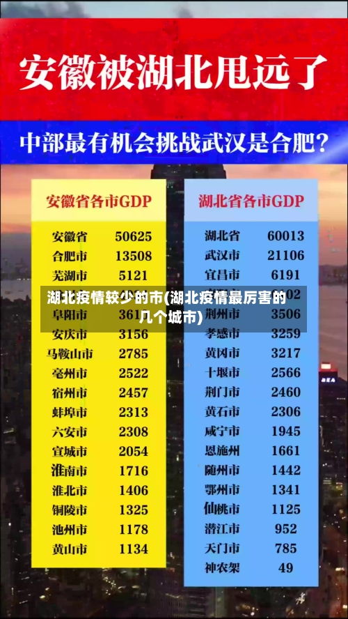 湖北疫情较少的市(湖北疫情最厉害的几个城市)