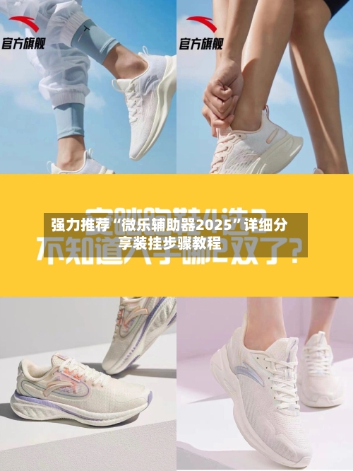 强力推荐“微乐辅助器2025	”详细分享装挂步骤教程-第2张图片