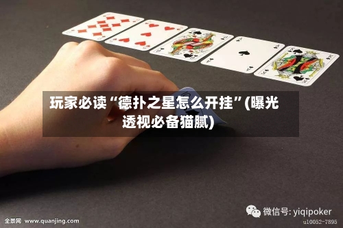 玩家必读“德扑之星怎么开挂”(曝光透视必备猫腻)