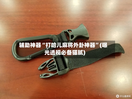 辅助神器“打哈儿麻将外卦神器	”(曝光透视必备猫腻)-第2张图片