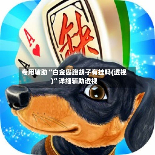 专用辅助“白金岛跑胡子有挂吗(透视)”详细辅助透视