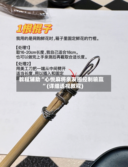 教程辅助“心悦麻将亲友圈控制输赢	”(详细透视教程)-第2张图片