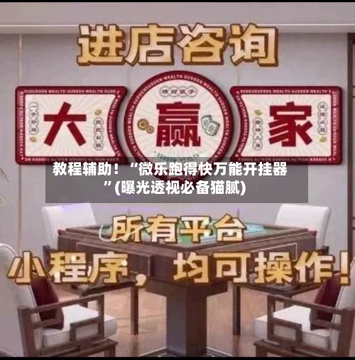 教程辅助！“微乐跑得快万能开挂器”(曝光透视必备猫腻)-第3张图片