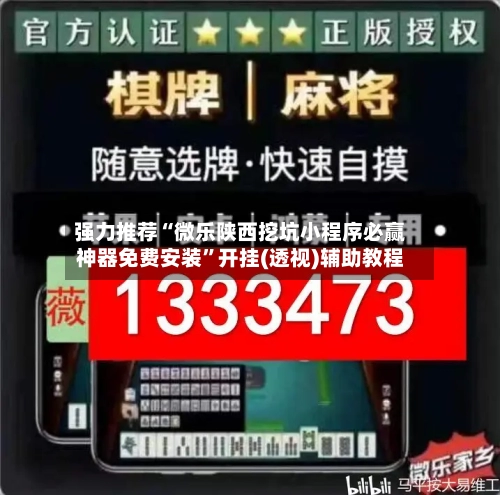 强力推荐“微乐陕西挖坑小程序必赢神器免费安装	”开挂(透视)辅助教程-第2张图片